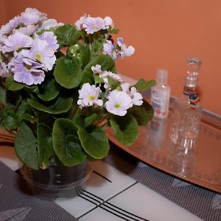 Central Apartment Maria Sibiu Ngoại thất bức ảnh