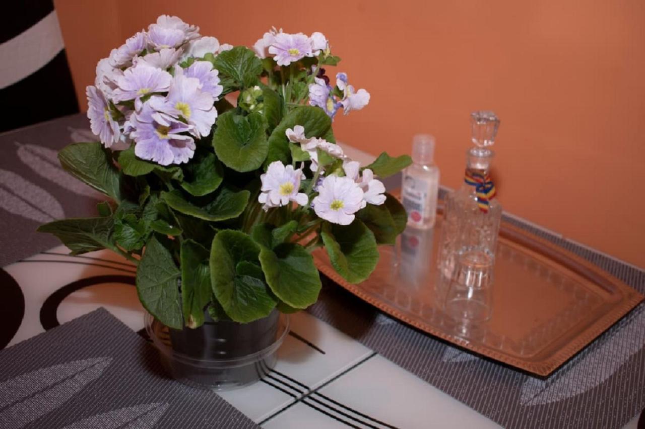 Central Apartment Maria Sibiu Ngoại thất bức ảnh